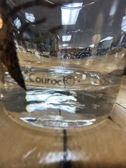 Vintage Couroc Owl Rocks Glasses Set of 4 Gold MCM Barware Mid Century Cocktail