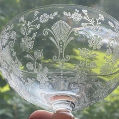 Duncan Miller First Love Etched Sherbet Champagne Glasses 5 pc Set Floral 5111