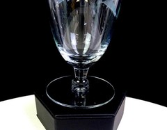 Elegant Glass Clear Etched Leaf Pattern 2 Piece 5 3/4″ Iced Tea Glasses 1930-