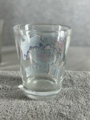 New Orleans Masks Souvenir Shot Glass