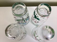 SET OF 4 PORTMEIRION BOTANIC GARDEN HAND PAINTED TUMBLERS GLASSES 19.5 OZ
