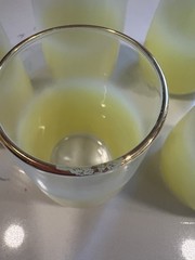 Blendo Frosted Beverage Cups Set Of 6 Yellow Gold Rim Holds 6 oz Vintage MCM