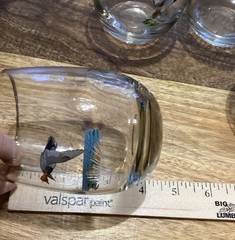 7 Vintage 1960s Ned Smiths Waterfowl Roly Poly Glasses