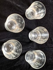 Set Of Five 3.5” Noritake Sasaki Bamboo And Leaf ￼Etched Entertainment ￼Glasses