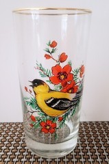Beautiful Songbird Gold Rim Drinking Glasses, Set 8 Silkscreened Images w/Caddy