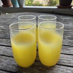 3 Blendo Yellow Frosted Tumblers 5″ West Virginia Glass W/ Gold Rim