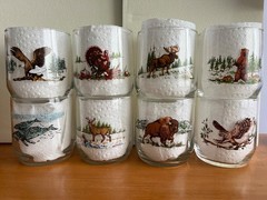 Complete Set 8 Different Libbey Sunoco North American Wildlife Drinking Glasses
