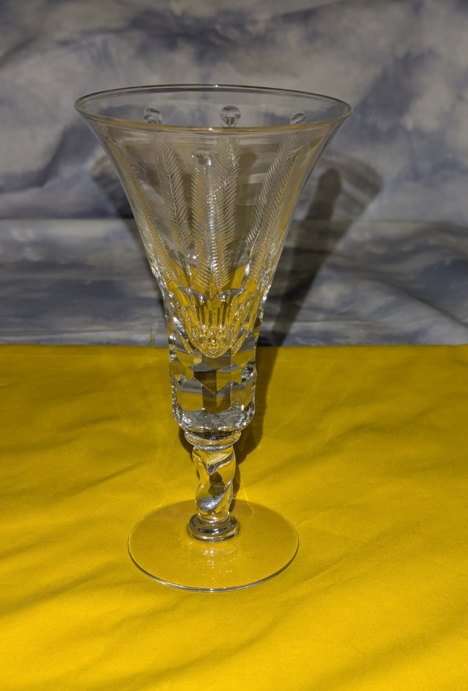 Vintage Royal Fern Glass Water Goblet with Twist Stem by Libbey Glass Company