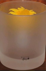Vintage 4 Dartington Designs Frosted Glass Tumblers Barware Flowers Colorful