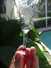 Weston Crystal Gray Cut Flower Clear 1 oz Footed Cordial w/ Ruby Red Foot VGUC