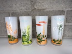Vintage Arizona Cactus Frosted Glasses Set of 8 Tumblers w Metal Carrier MCM