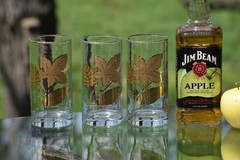Vintage Cocktail – Highball Glasses, Set of 4, Vintage Whiskey Glasses