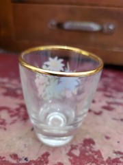 Vintage Shot Glass Handpainted Flowers France AG743