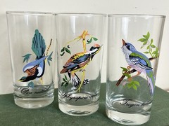 Vintage MCM Hand Painted Exotic Bird Barware Glasses (Set Of 3) 5.5” Cocktails