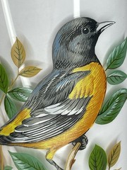 “Baltimore Oriole” Vintage 12oz Flat Tumbler By West Virginia Glass Specialty