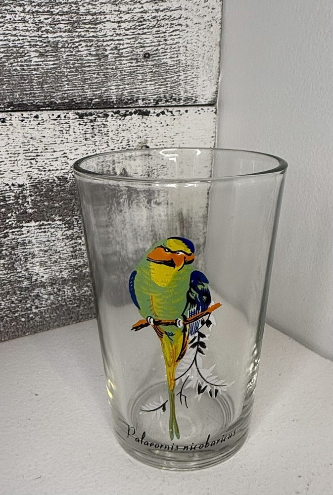 Palaeornis Tropical Exotic Bird Parrot Flat Tumbler Clear Glass 7 oz KIG Collect