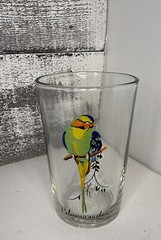 Palaeornis Tropical Exotic Bird Parrot Flat Tumbler Clear Glass 7 oz KIG Collect
