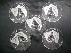 Dorothy Thorpe Floral Liqour Cocktail/Martini Glasses Set of 5