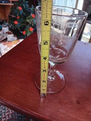 EAPG Pressed Glass Etched Fern Flower Leaf Berries 6-1/4″ Water Goblet #2134