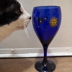 Libbey Glass Company Celestial Cobalt Blue Sun Moon Stars Water Goblet