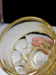 1- Vintage Glass Cambridge Georgian Gold Krystol Yellow 3 1/4″ Tumbler 5oz Glass