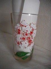 MCM Peanut Butter Drinking Glass Boscul Tumbler Laurel White/red Flowers Estate