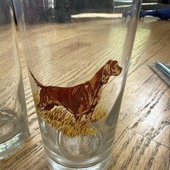 Vintage Drinking Glasses Hunting Dogs