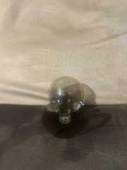 PAIR OF MORGANTOWN CRYSTAL CHANTICLEER ROOSTER COCKTAIL/SHERBET GLASSES