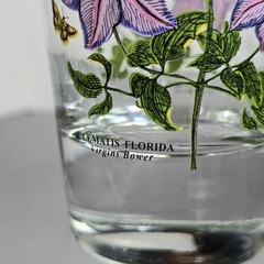 5 pc Portmeirion Botanic Gardens Clematis Florida Highball Tumblers