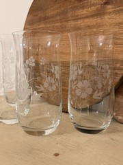 Artic By Crystal Clear Industries Tumbler Set Of 4 Etched Flowers