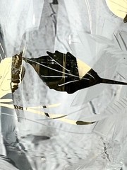 Vintage Set of 4 TOSCANY Crystal Etched w/Gilt Leaves/Trim CORDIAL/WINE Glasses