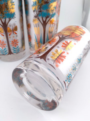 Vintage Highball Drinking Glasses with Four Seasons Designs by M. Petti MCM – 4