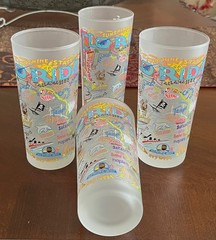 CATSTUDIO Souvenir Glass 2015 FLORIDA Sunshine State Frosted Tall Tumbler
