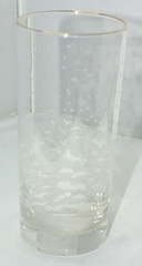 Vintage Rare Lynns China Frosted Pines Gold Trim 6.25” Tumbler Glass 1990s