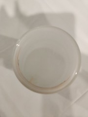 Vintage Blakely Oil & Gas Arizona Cactus Frosted Juice Glass SMALLER Yucca Mini