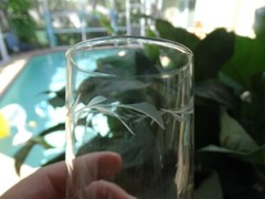 Set of 4 Susquehanna Clear Glass 9oz Flat Tumbler Cut Horizontal Plant Design