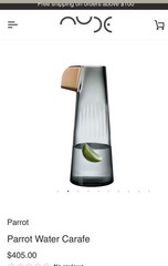 Nude Glass “Parrot” Carafe By Thomas Kral. Designer Bar Ware HTF Contemporary