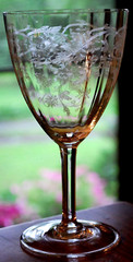 Vtg Set 10 CENTRAL GLASS WORKS Needle Etched Optic PASSIONFLOWER Water Goblets