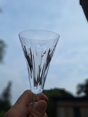 Waterford Crystal Champagne Flutes – 9.25″ Millenium Hearts (Pair)