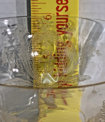 3 Blue Bell Yellow Tiffin-Franciscan Etched Champagne Sherbert 6″ Glasses