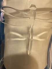 Set Of 3 LA ROCHERE FRANCE 4” DRAGONFLY Old Fashioned Tumblers 9.5 Oz Excellent
