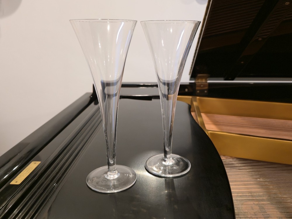 Tiffany & Co Trumpet Crystal Glass Hollow Stem Champagne Flutes 9.25″ Pair 2x