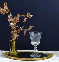 1940’s Tiffin-Franciscan Athlone 8oz Water Goblet 6-1/8″ Blown Glass/Cut Crystal