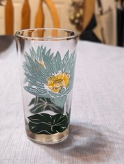 Vintage Boscul Aqua Blue Beauty Water Lily Peanut Butter 5″ Drinking Glass