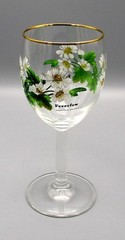 Royal Worcester WORCESTER HERBS Feverfew Wine Glass Botanical Florals Gold Trim