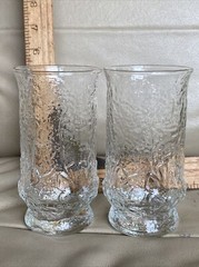 Lot 2 Vtg Tumbler Glasses Pressed Raised Clear Glass Floral Flower 2 Piece Mold