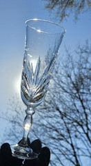 2 Vintage 1970 Ales Fluted Champagne Glasses by Cristal D’Arques Durand FREESHIP