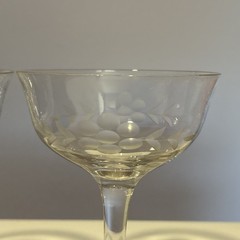 Set of 2 Vintage Champagne Coupe Glasses Dessert Dish Flower Fern 4.5”H Pair