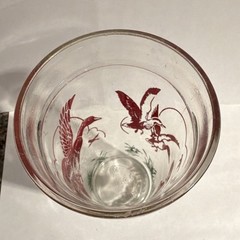 Tumbler Glass 300 ml Clear Red Green Flying Ducks Bird Theme Glossy 6 in L-G 6