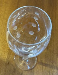 Mikasa Cheers Etched Dots Wine Glasses Long Stem Set of 2